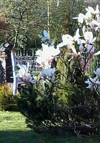 20140420_183201-2-1-1-1-1