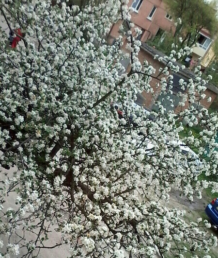 20140423_155936-1-1-1